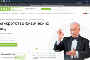 интеграция+SEO+разработка дизайна+JavaScript