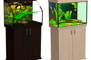 Аквариум и террариум