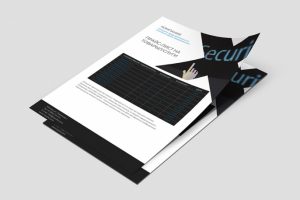 Образец прайс-листа на охранные услуги