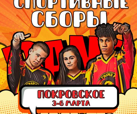 img4267486.png