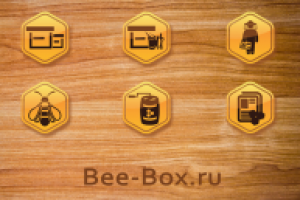 Дизайн тематических иконок для ИМ bee-box.ru