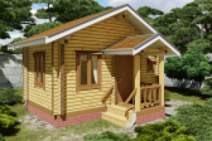 Домик дачный (Санкт-Петербург)