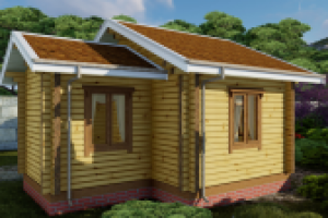 Домик дачный (Санкт-Петербург)