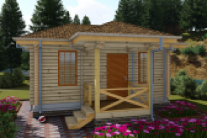 Питер (выставка малых форм)