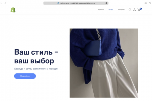 WordPress Интернет-магазин