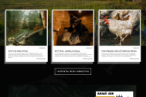 Парк-Отель «Медвежья Гора»