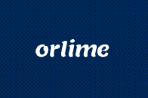 Лаборатория успешных проектов Orlime