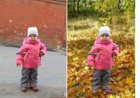 img1865371.png