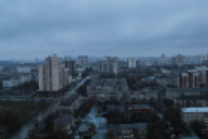 Работа 3110291