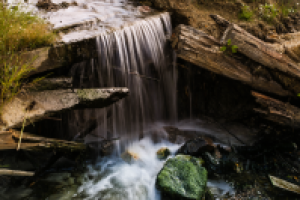 Работа 3110294