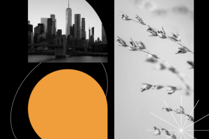 Разработка сайта для Цветочной компании