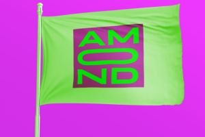 «Amond Jewerly» / Брендинг