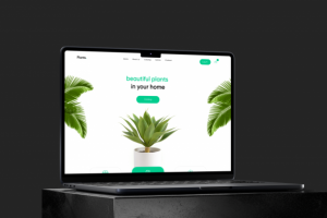 Дизайн Landing Page