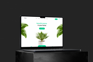 Plants | Landing Page