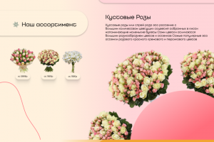 Фирменный стиль/сайт