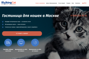 Гостиница для кошек в Москве