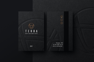 TERRA RESTAURANT
