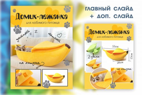 img4391081.png