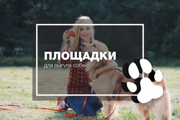 img4016012.png