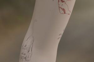 Визуализация 3D