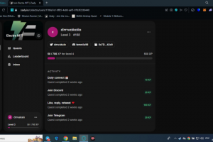 Участие в стартапе Electra NFT