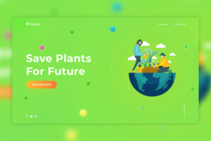 Support for plants