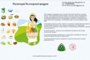 Адаптивная верстка страницы