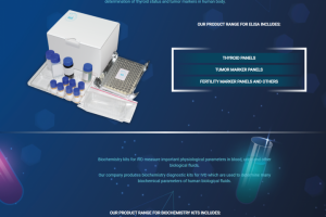 Верстка + натяжка на WordPress