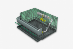 Интерактивная визуализация клетки для канарейки