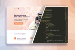 Груминг салон