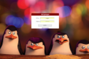 Создание сайта менеджера посылок с нуля