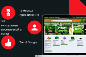 Работа 3590243