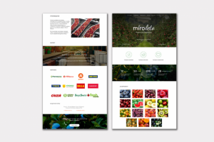 Лендинг на Тильде для Миро-Лето