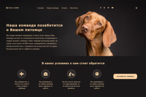 Передержка собак