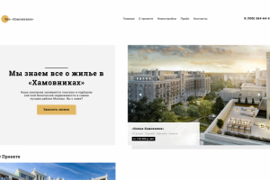 Проект Хамовники