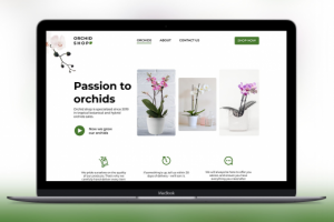 Интернет-магазин орхидей