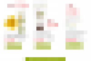 Ив роше лендинг