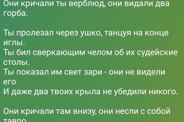 img4533576.png