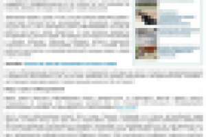 Статья Стресс-собеседование