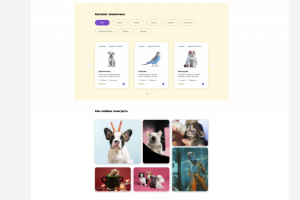 Дизайн лэндинга