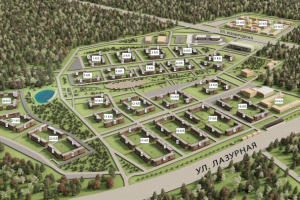 птичий полёт