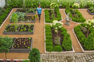 Как расположить грядки на участке