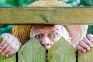 Как закрыться от соседей по даче