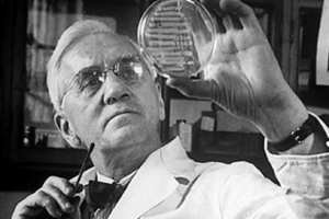 Изобретатель антибиотиков