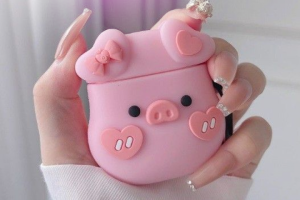 Чехол для наушников