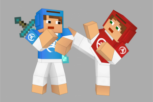 Тхэквондисты в стиле майнкрафт