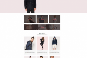 Мой первый интернет магазин