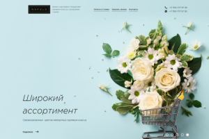 Сайт под ключ