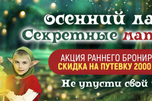 Баннер для сайта "Белкино"