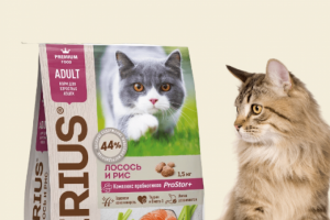 Карточка корма для кошек